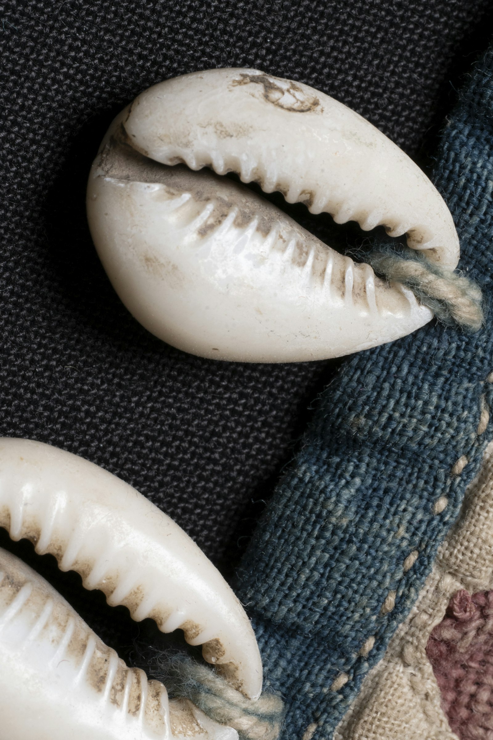 Cowrie shells